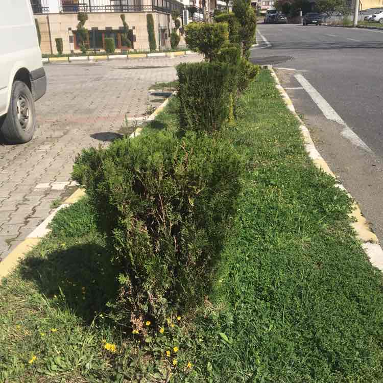 💕10.000 adıma haydi💕 Emine post image