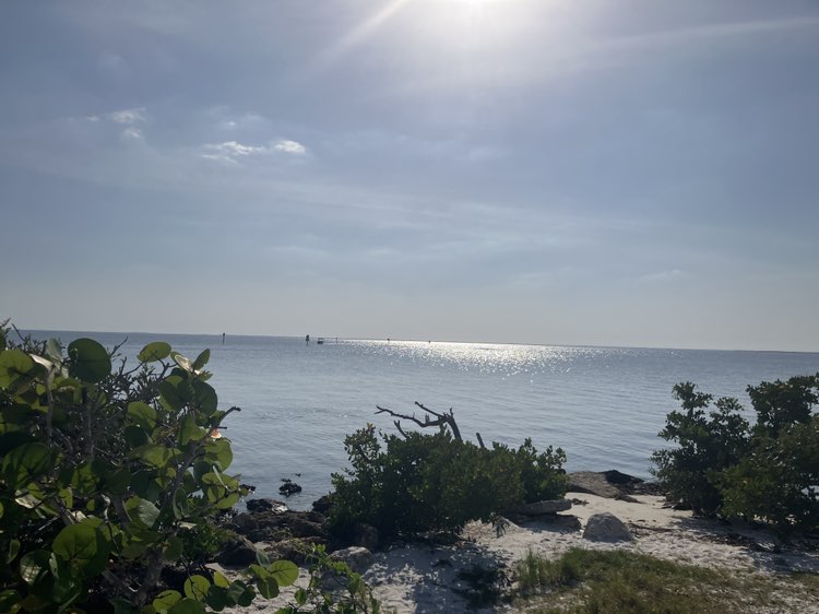walking near me in Ponce de Leon Park in spring