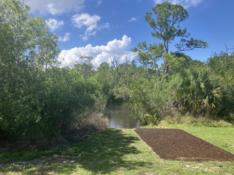 walking near me in Senator Bob Johnson's Landing in spring
