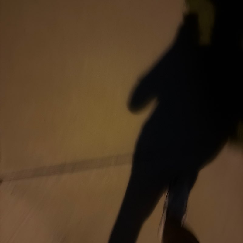 Kuppuraj post 1