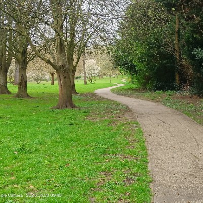 IKIGAI Mukesh Soni post image