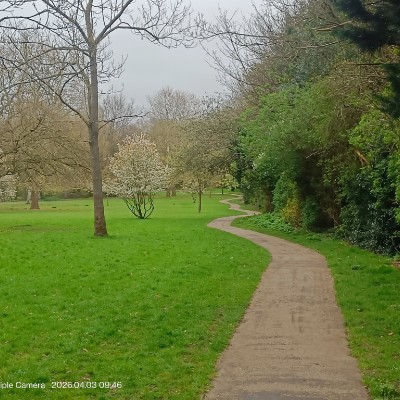 IKIGAI Mukesh Soni post image