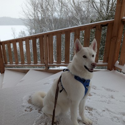 GIHT-SAD-Planif-CE Ariane post image