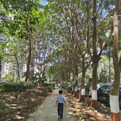 The productivity pacers Shital Muley post image