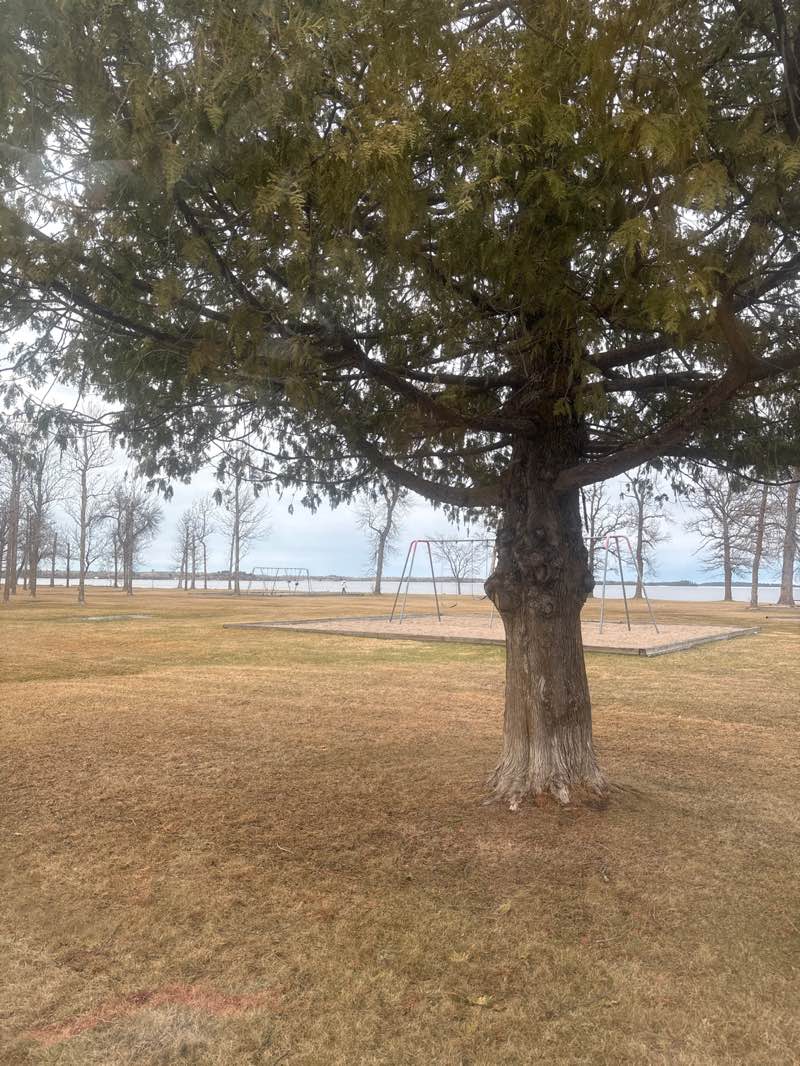 walking near me in Point Park in spring