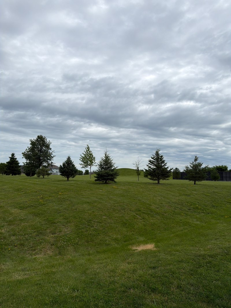 walking near me in Ironwood Park in summer