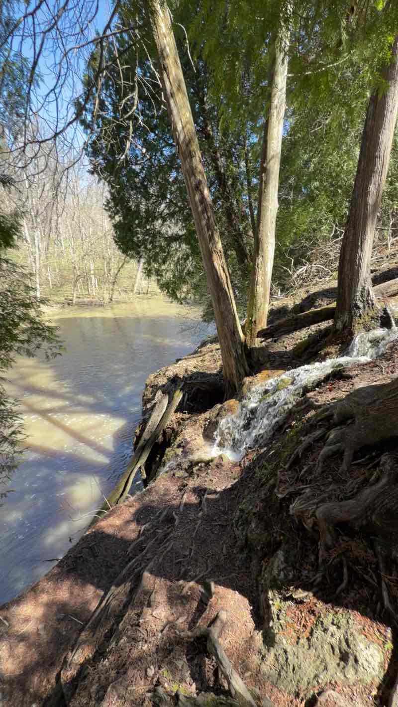 walking near me in John Bryan State Park in spring