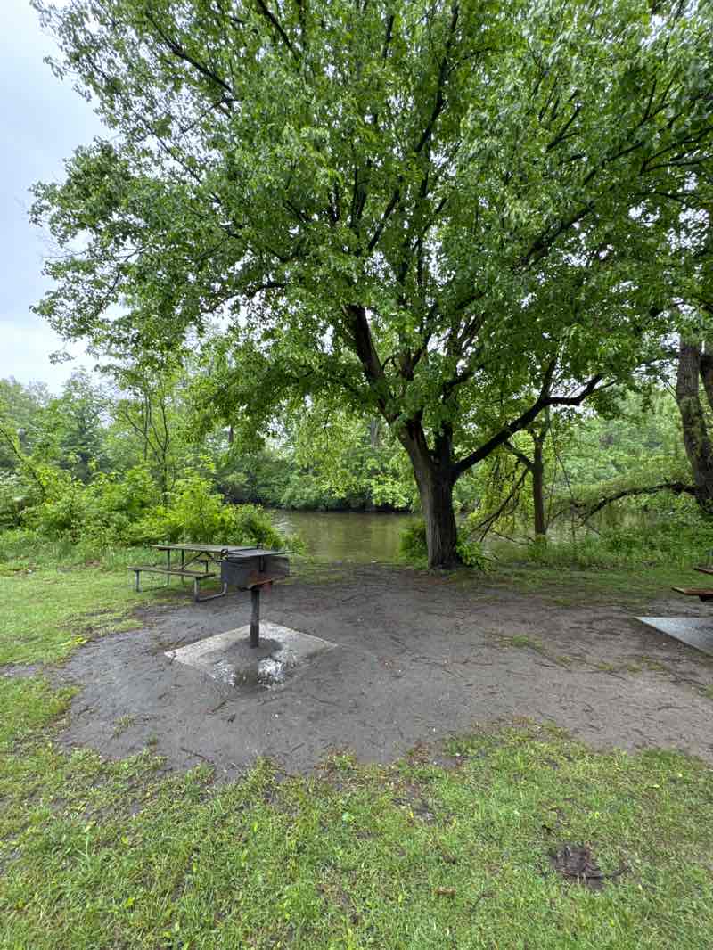 walking near me in Island Park in summer