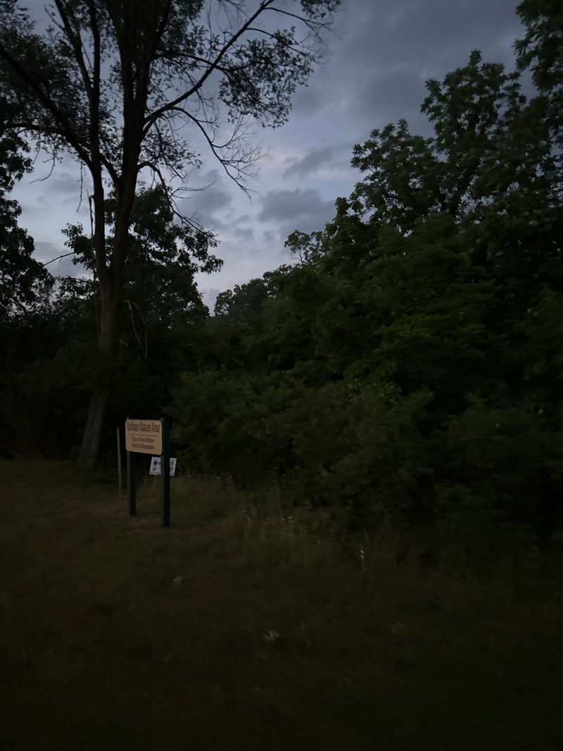 walking near me in Ruthven Nature Area in summer