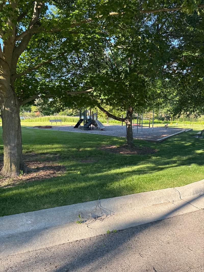 walking near me in Geddes Lake Picnic Park in summer