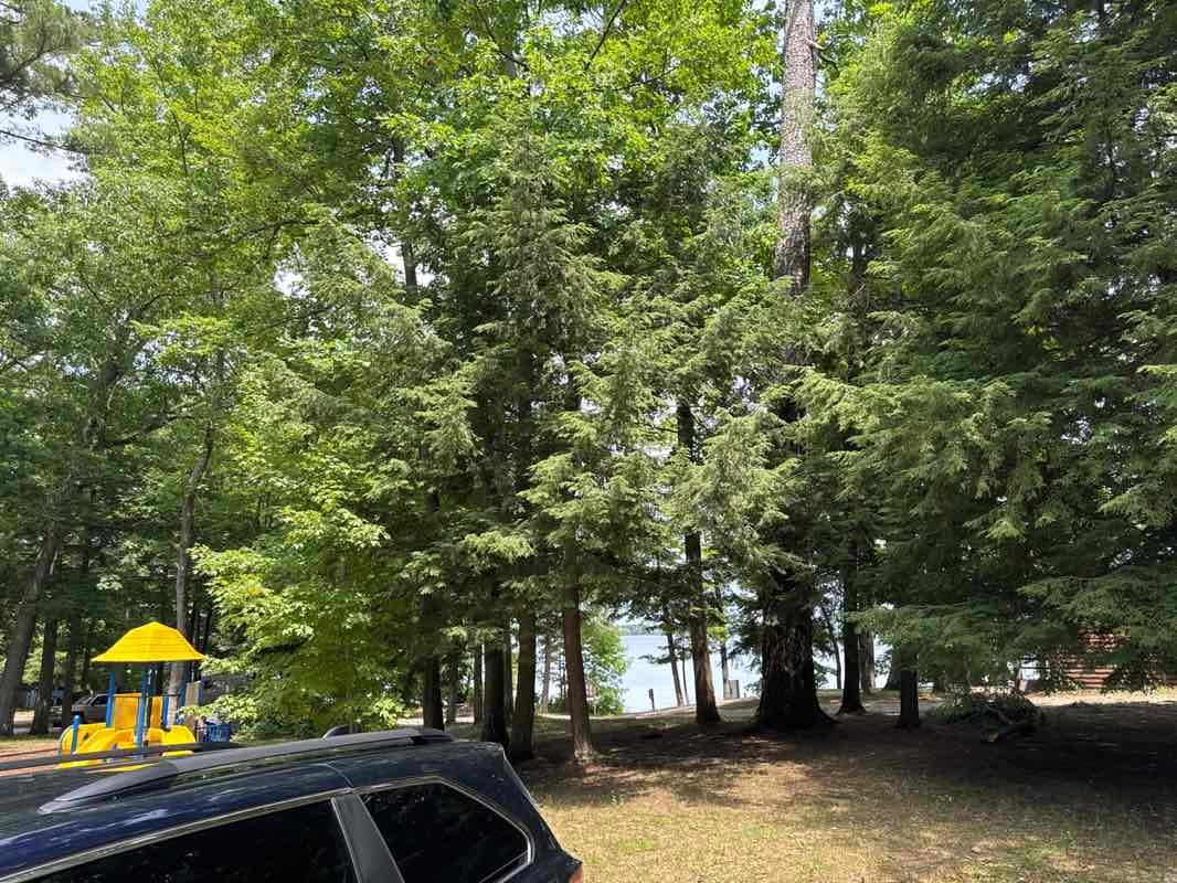 walking near me in Interlochen State Park in summer