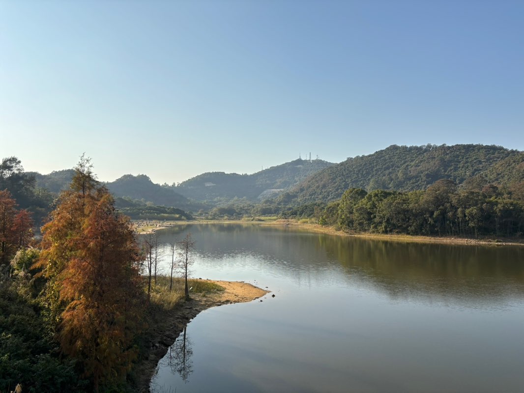 Claire Zheng profile