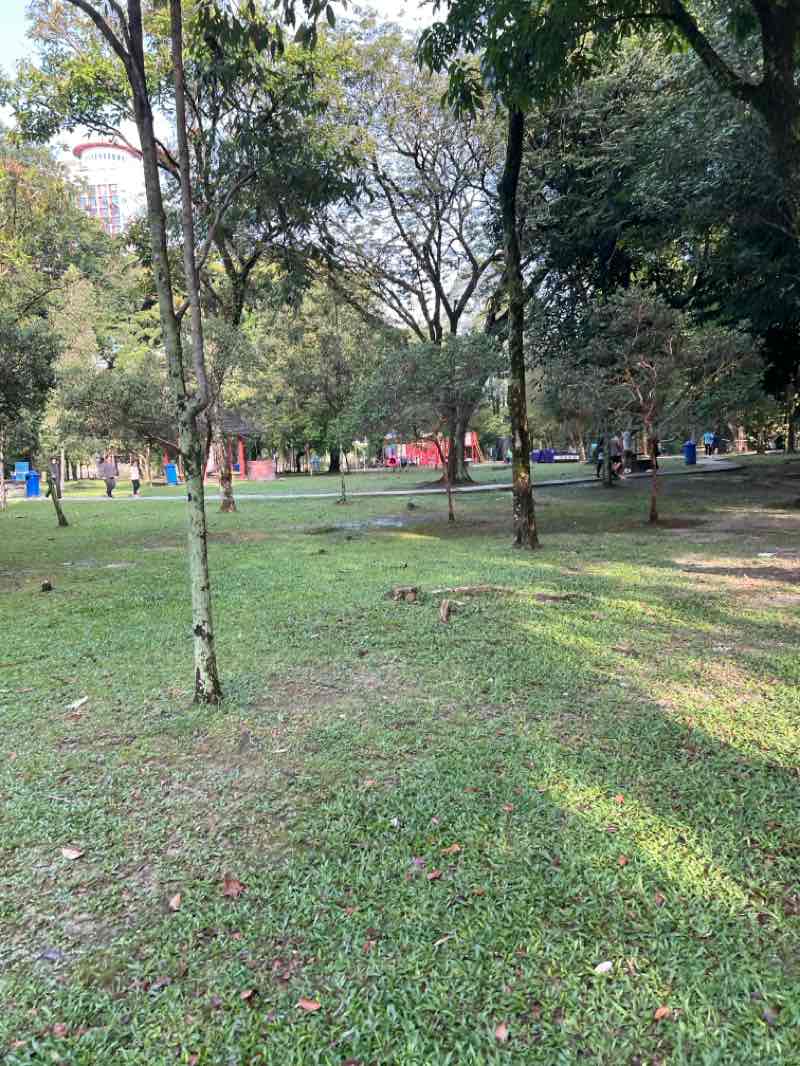 walking near me in Taman Jaya in spring