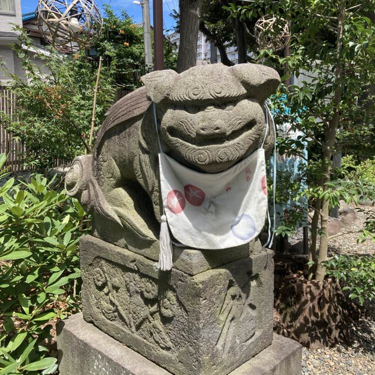 たたたたっ