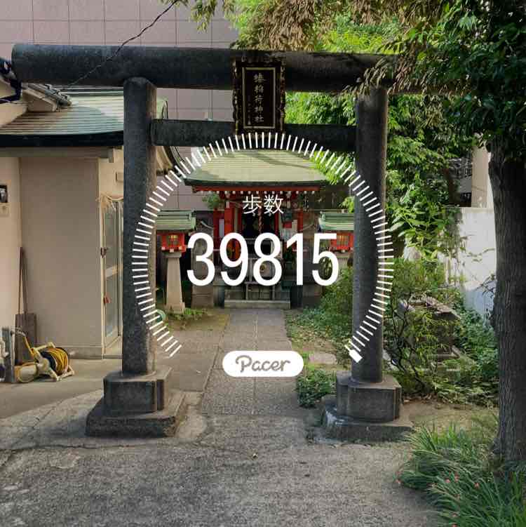 たたたたっ post 1