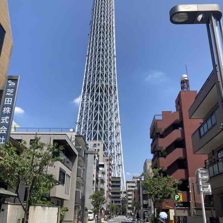 たたたたっ post 2