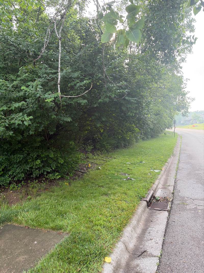 walking near me in Big Walnut Creek Parkland in summer