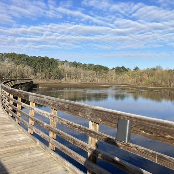 Venissa Arrington post 2