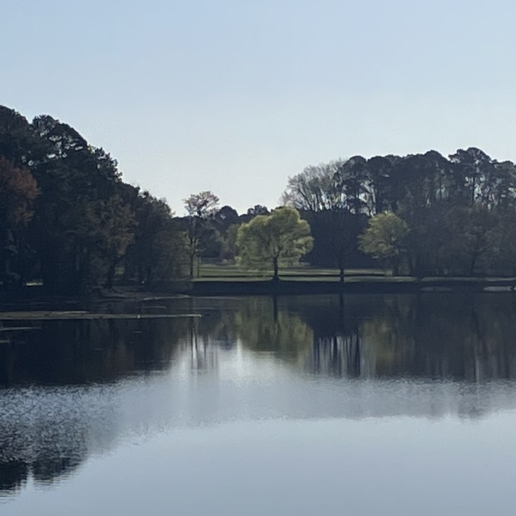 Venissa Arrington post 3