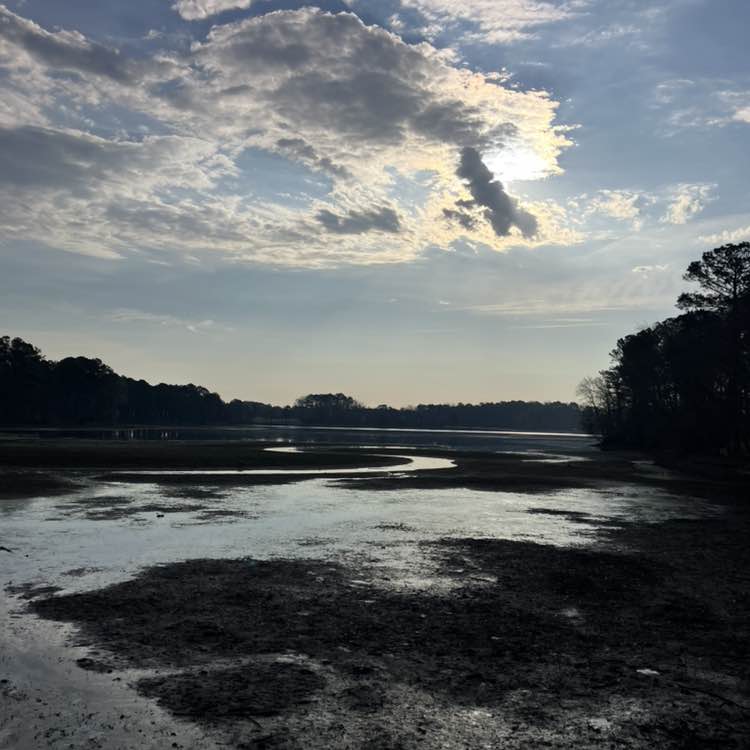 Venissa Arrington post 1