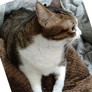 S25355-Chiayen😎 profile