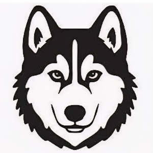 Colin Huskinson profile