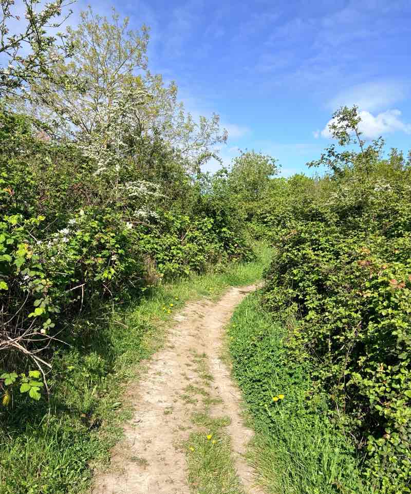 walking near me in Hornchurch Country Park in spring