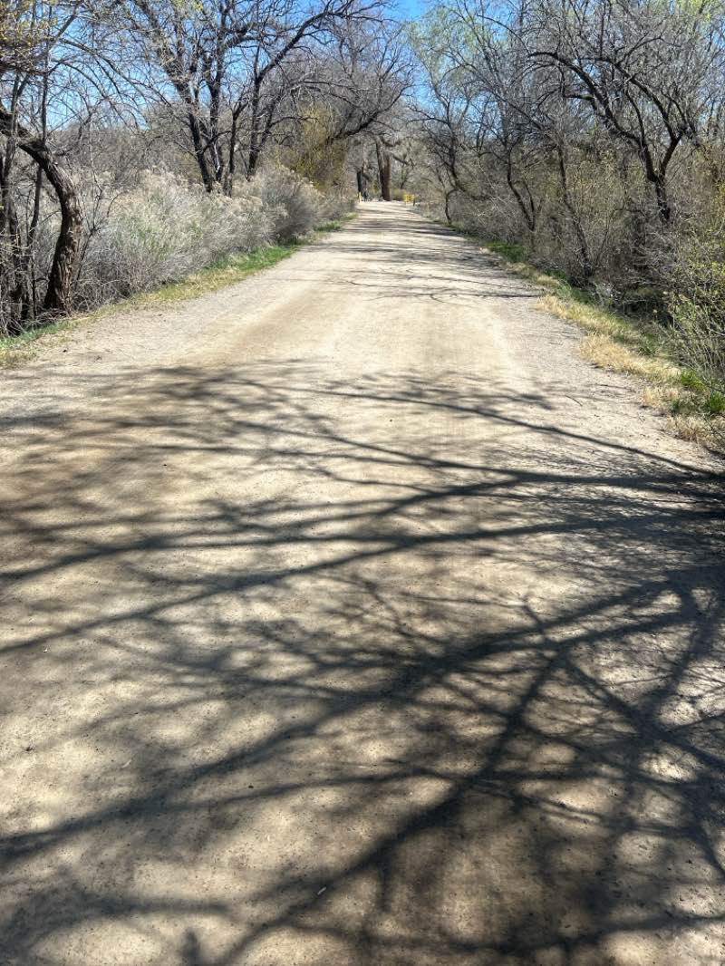 walking near me in Berg Park in spring
