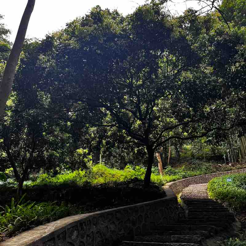 The productivity pacers Helene post image