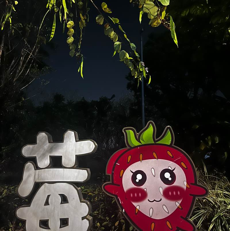 步行不止，Support不息 Helene post image
