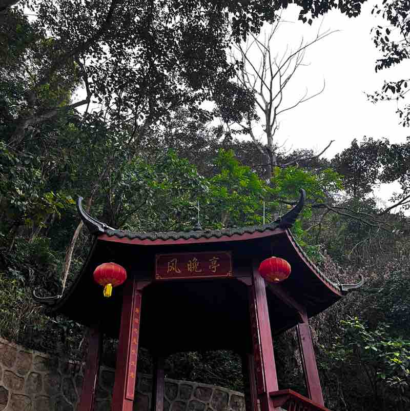 The productivity pacers Helene post image