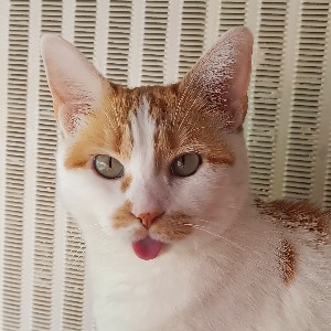 La meuf de l'accueil profile