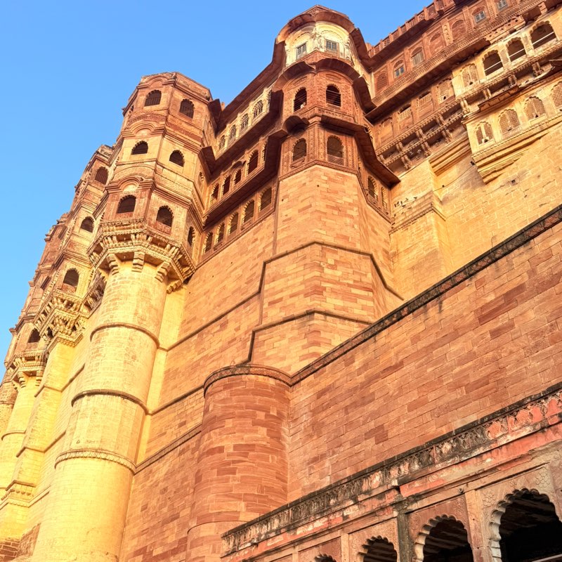 Sonali Lahanu Tambade icon