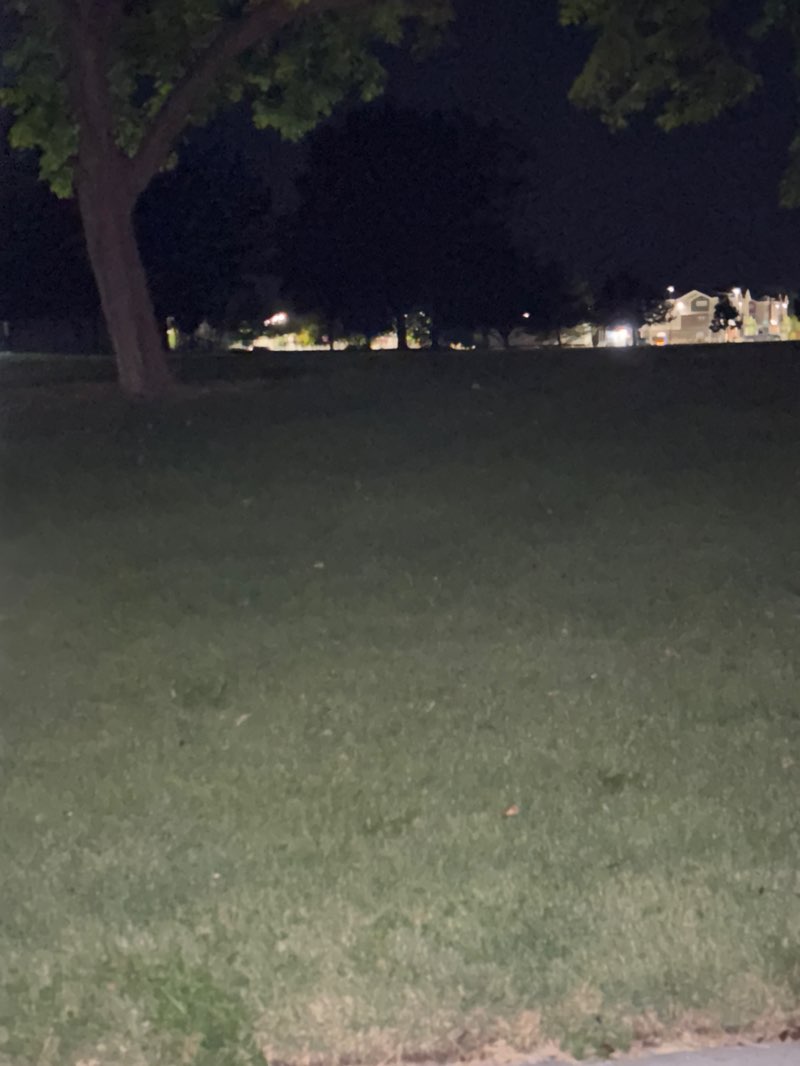 walking near me in Liberty Park in summer