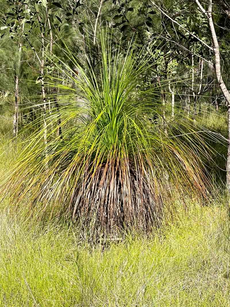 walking near me in Freshwater National Park in autumn