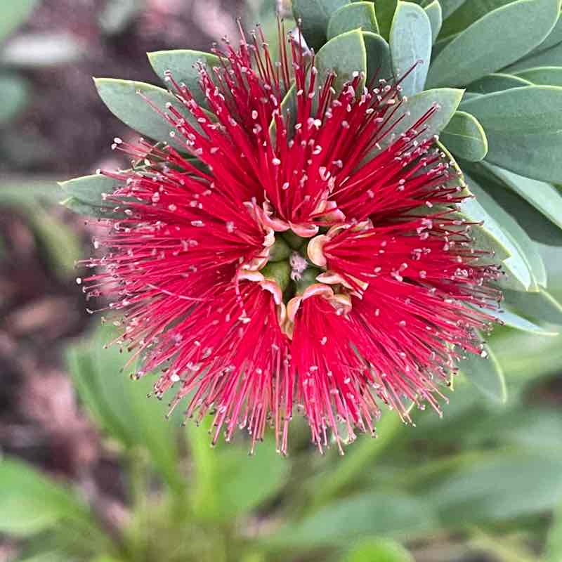 Alphabet Soup 🥣 post 3