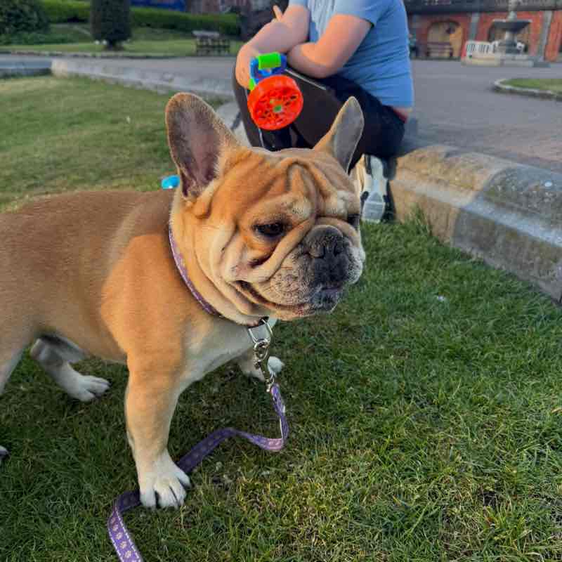 Gemma post 1