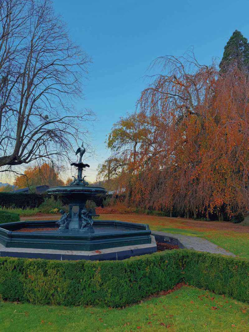 walking near me in Dunedin Botanic Garden in winter