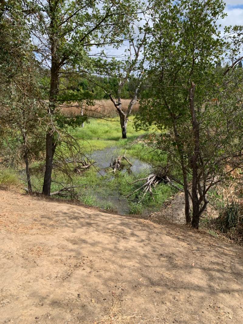 walking near me in Maidu Regional Park in autumn