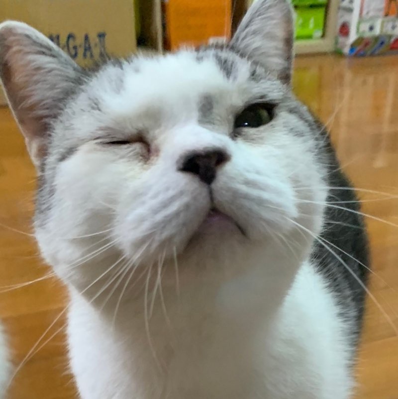 Miao profile