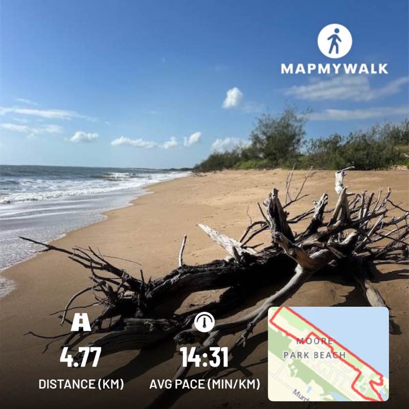 TNT Community Steppers Toni Gleeson post image