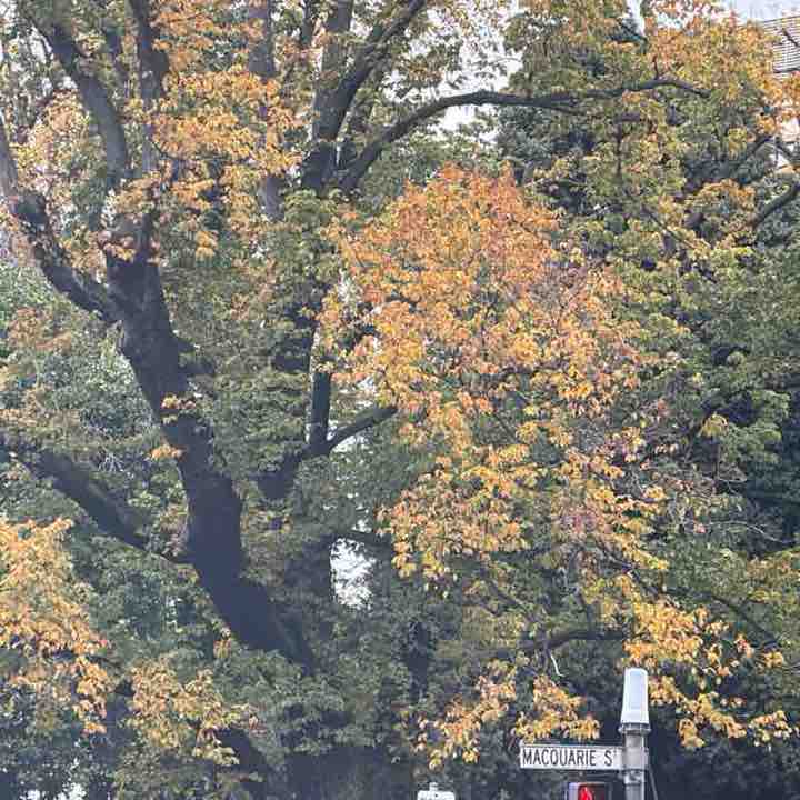 littletreehugger post 1