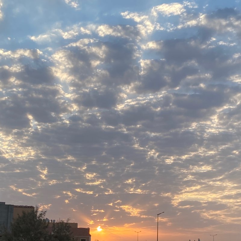 شمس profile