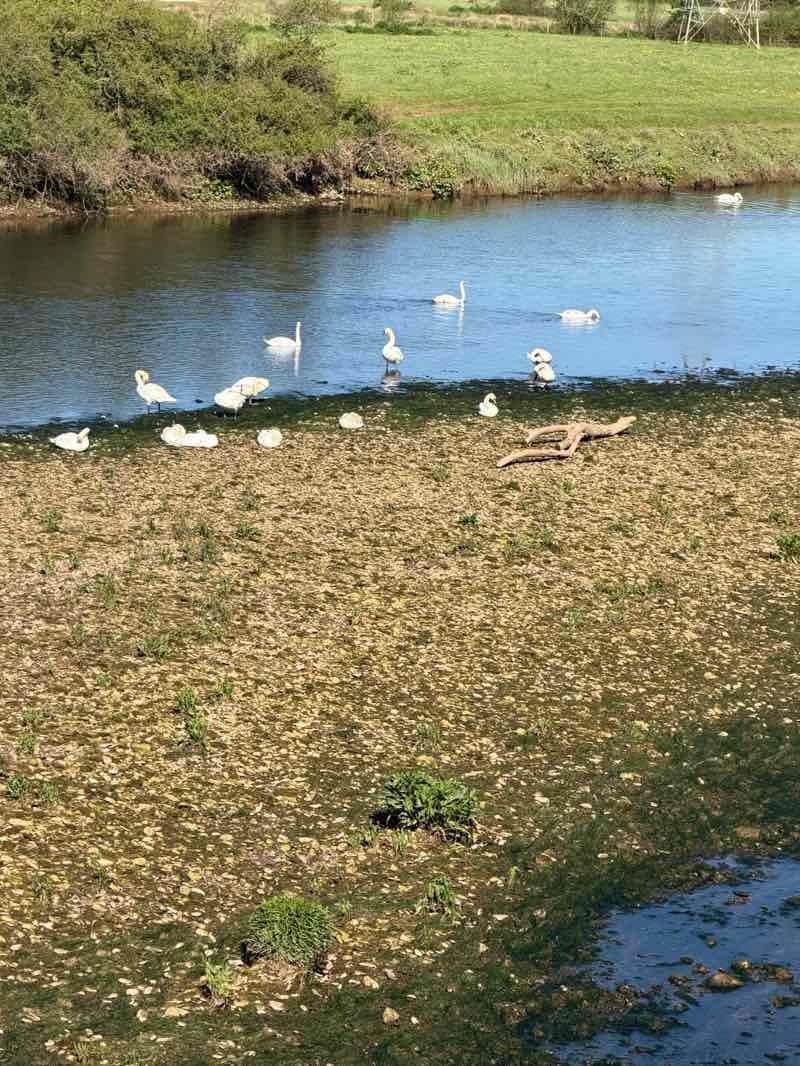 walking near me in Riverside Valley Park in spring
