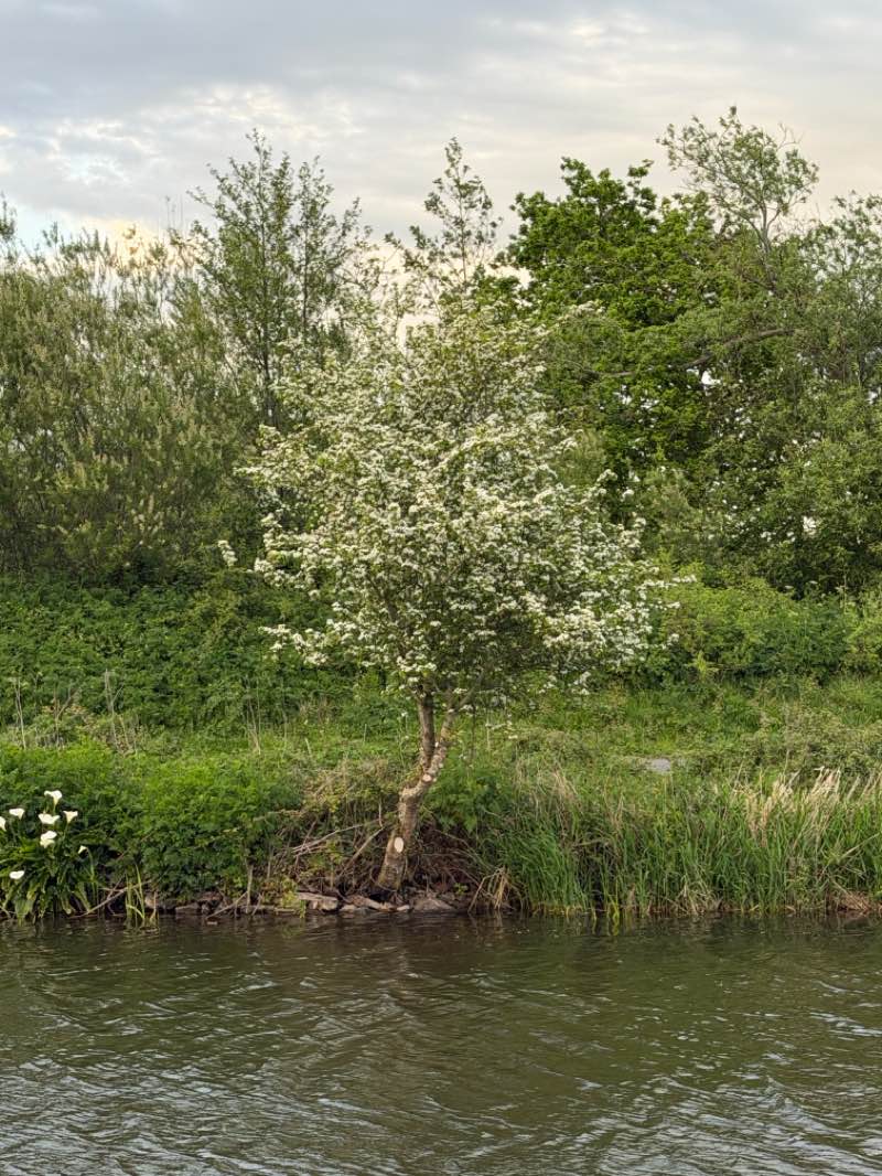 walking near me in Riverside Valley Park in spring