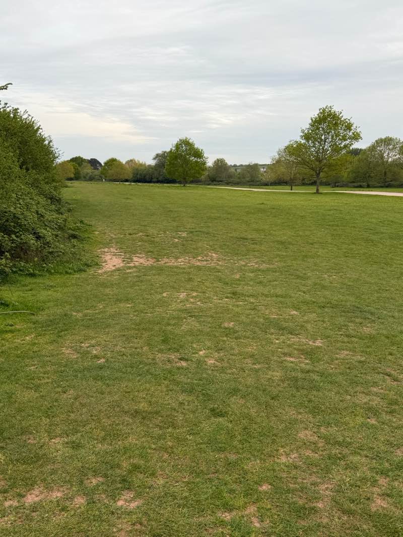 walking near me in Ludwell Valley Park in spring