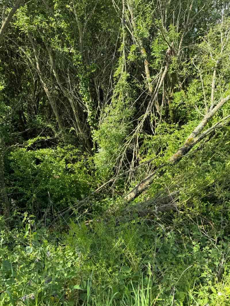 walking near me in Riverside Valley Park in spring