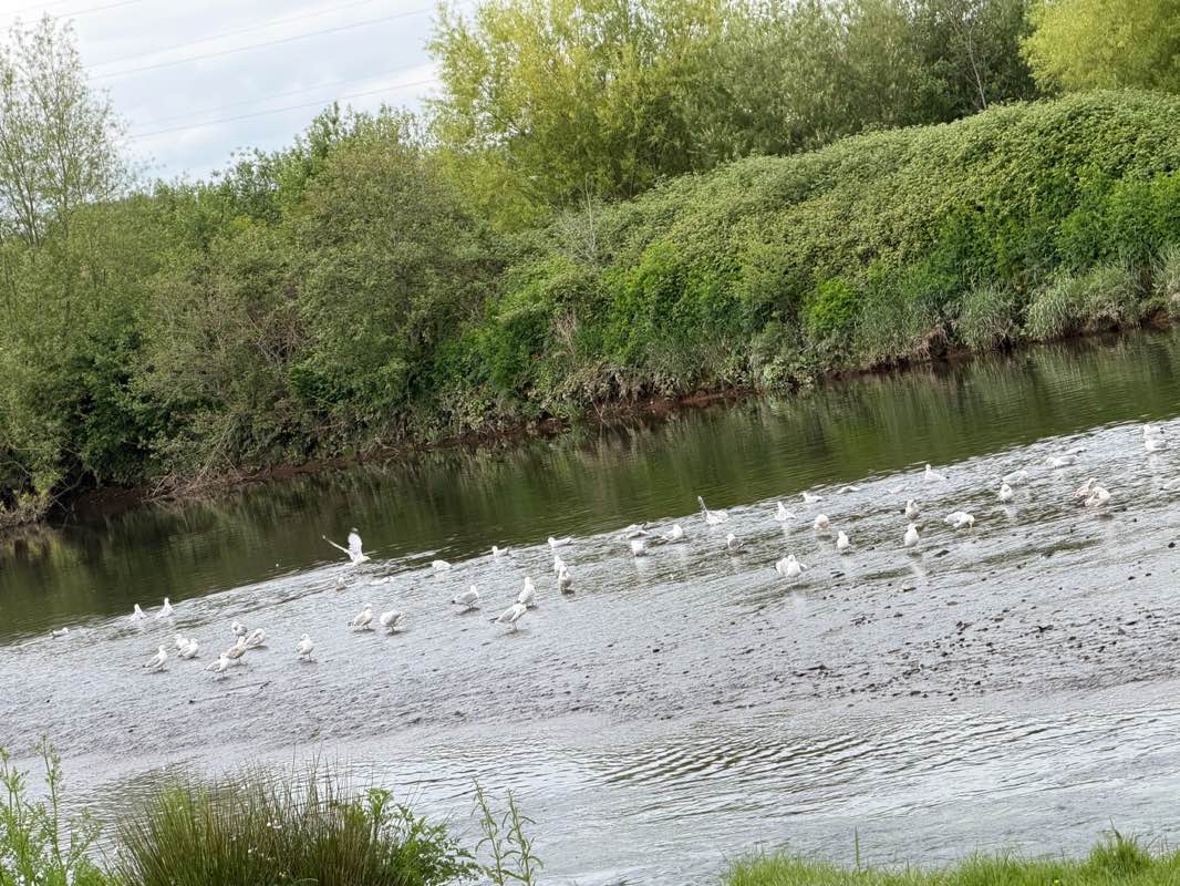 walking near me in Bullmeadow in spring