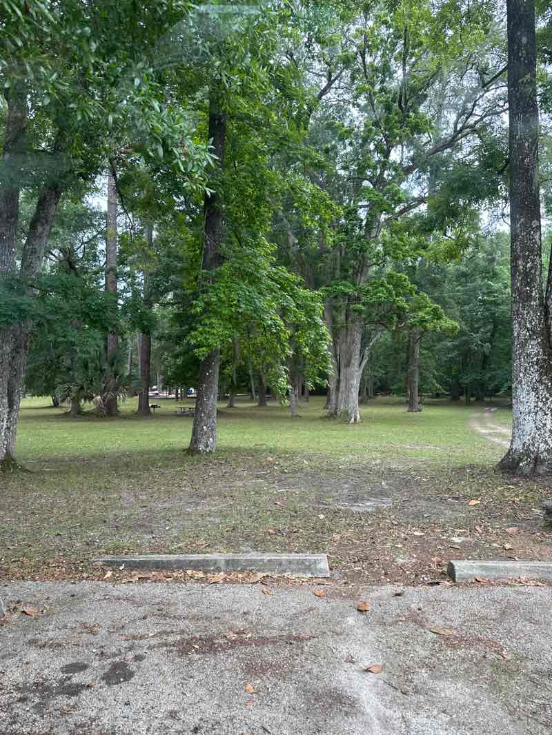 walking near me in Edward Ball Wakulla Springs State Park in spring