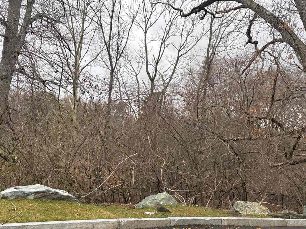 walking near me in Dane Park in spring